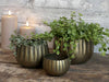 Pot messinglook m. ribbels set van 3