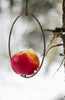 Spies voor vogelvoerbol of appel