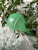 Spikes voor het water geven van bloemen – Set van 2 st