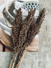 Gedroogde bloemen – Brown