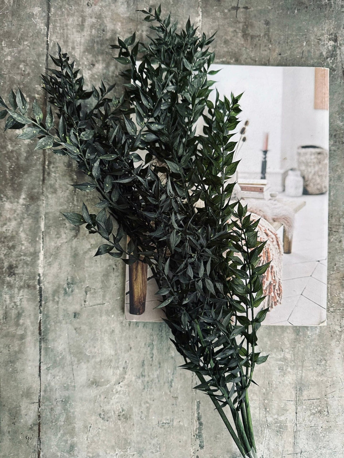 Tørret blomster – Dark green ROSSA - VIAMAJA.DK