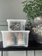 Transparent kasse med låg - Medium - VIAMAJA.DK