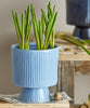 Potcover – Blauw steengoed