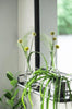 Wandspiegel metaal met plank - Factory zwart