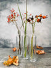 Vazen van glas - Set van 3 stuks