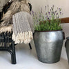 Zinken emmers voor bloemen of opberging - Groot